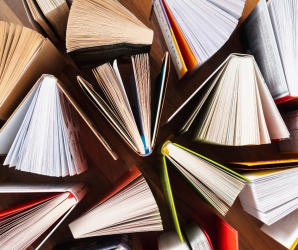 Biblioteche pubbliche e collezioni: principi e pratiche di sviluppo